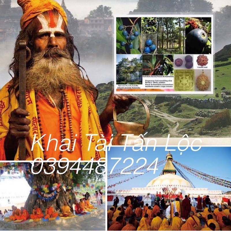 Vòng chuỗi 108 hạt Bồ đề kim cang tự nhiên 8mm phối Dzi Nepal