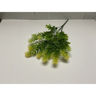 Cành điểm chôm chôm