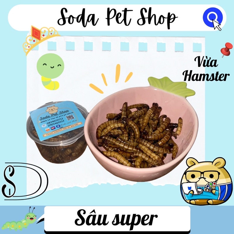 Sâu Rang Super Cho Hamster/Thú Nhỏ