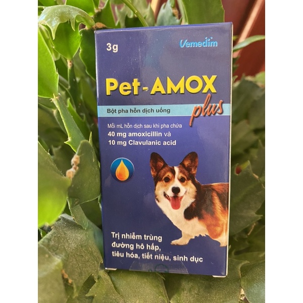 Pet Amox - chuyên dùng cho chó mèo