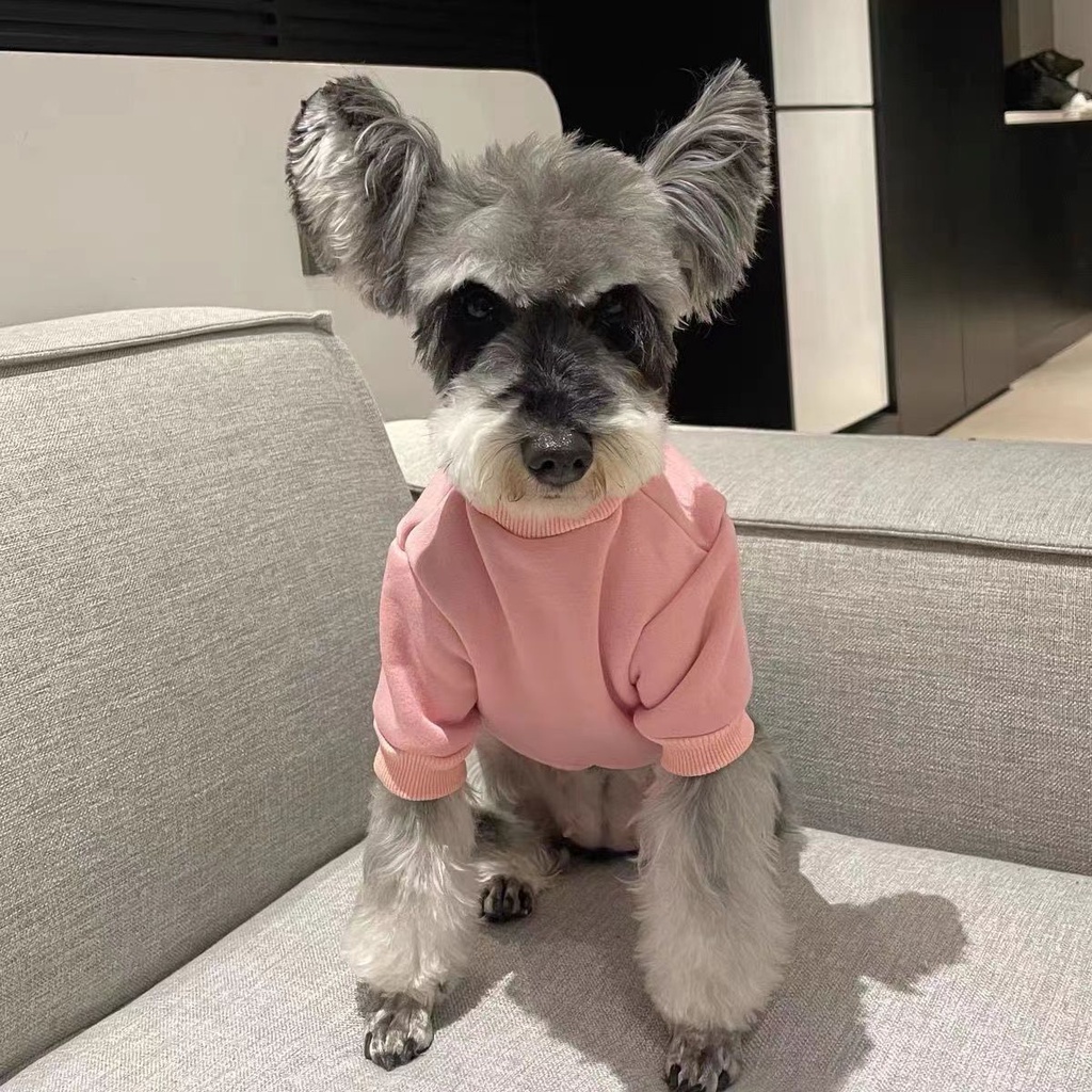 Áo Nỉ Chui Đầu Hình Chú Gấu Teddy / Corgi / Chú Chó Pug Dễ Thương Thời Trang Thu Đông Cho Cún Cưng