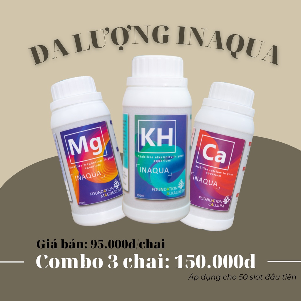 inAqua_official, Cửa hàng trực tuyến | Shopee Việt Nam
