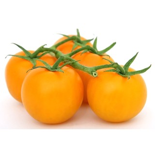Hạt Giống Cà Chua Cherry Trái Tim Đỏ – Vàng | Giống Lạ, Siêu Ngọt, Cực Đẹp