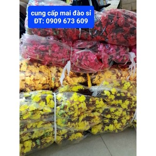 10 Cành hoa mai, hoa đào bằng vải trang trí Tết