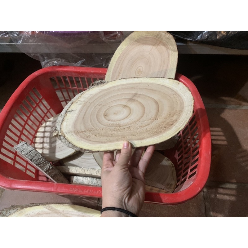 Lát gỗ decor trang trí size 16-30cm