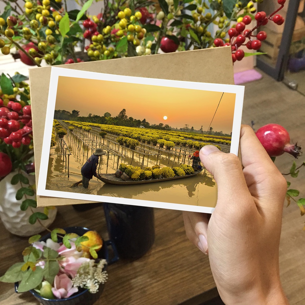 Thiệp tết, thiệp chúc mừng năm mới, postcard chủ đề tết Việt Nam, in giấy mỹ thuật kích thước 10x15, tặng kèm bao thư