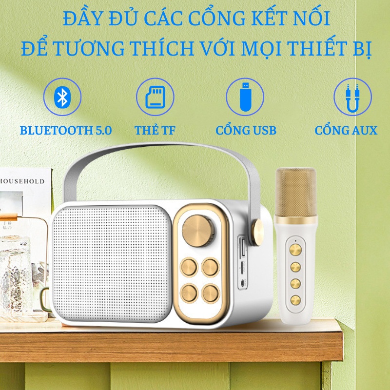 Loa Bluetooth SD-306 Không dây - loa karaoke mini tặng kèm 2 mic bluetooth - BH 6 THÁNG