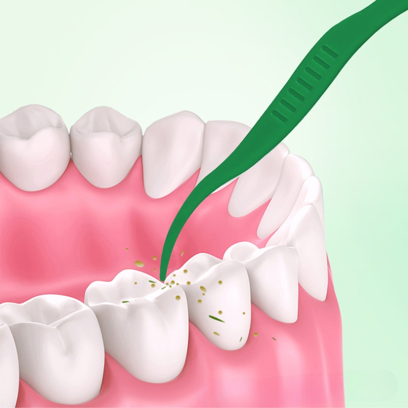 Tăm chỉ nha khoa vị bạc hà sợi chỉ nhỏ chăc chắn siêu mịn tăm chỉ nha khoa túi lớn 50 chiếc dùng cho gia đình | BigBuy360 - bigbuy360.vn