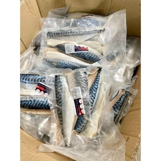 CÁ SABA NAUY PHI LÊ. 500G( giao hỏa tốc)