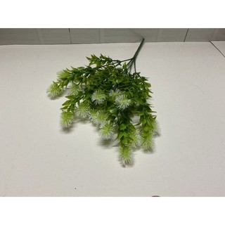 Cành điểm chôm chôm