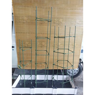 Khung giá đỡ cà chua - trụ giá đỡ tứ giác - giá đỡ cây leo