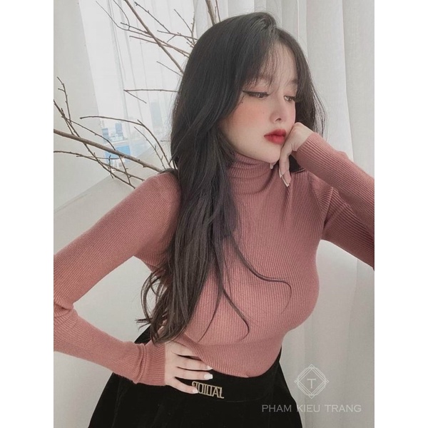 Áo len tăm nhỏ cổ lọ