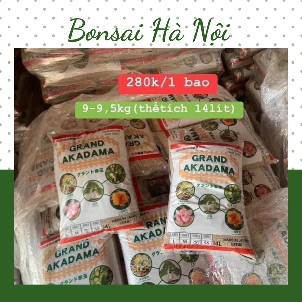 Đất nung Akadama Nhật Bản trồng sen đá, xương rồng, bonsai