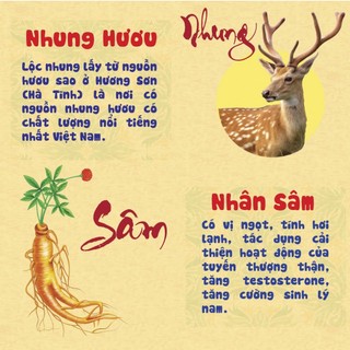 (60 viên) Sâm Nhung Bổ Thận HADIPHAR