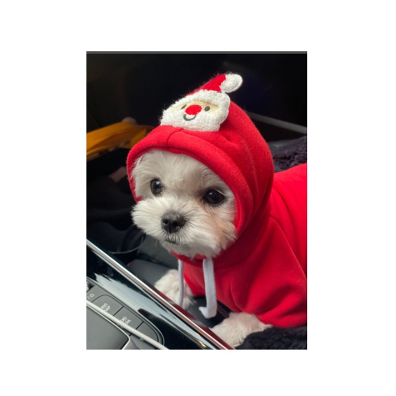 Áo Có Nón Giữ Ấm Cỡ Vừa Và Nhỏ Họa Tiết Giáng Sinh Có Dây Rút Dành Cho Chó Mèo