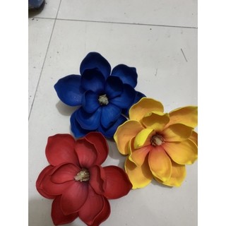Hoa mộc lan đầu bông siêu đẹp