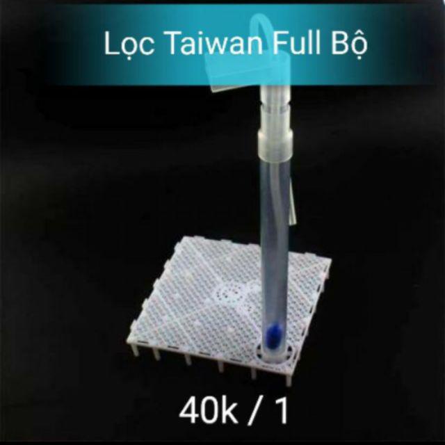 Bộ Lọc Đáy Taiwan Cho Hồ Tép Sula, Tép Lạnh, Tép Màu, Cá Guppy