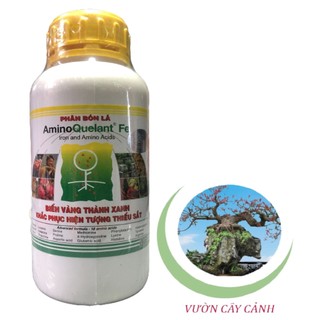 Phân bón lá amino quelant fe - #067a# 500ml