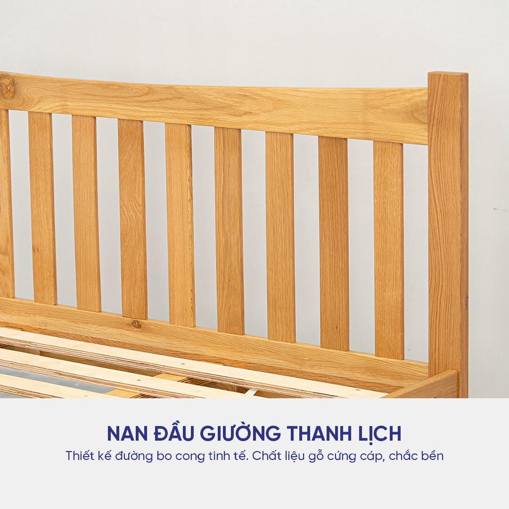 Giường gỗ sồi Amando Apollo kết cấu vững chãi, khung gỗ được xử lý công nghệ cao, hỗ trợ lắp đặt Hà Nội, Hồ Chí Minh