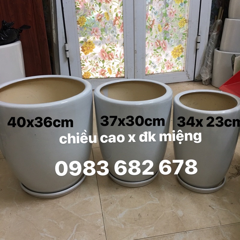 Chậu bom sứ lùn trồng cây sz to