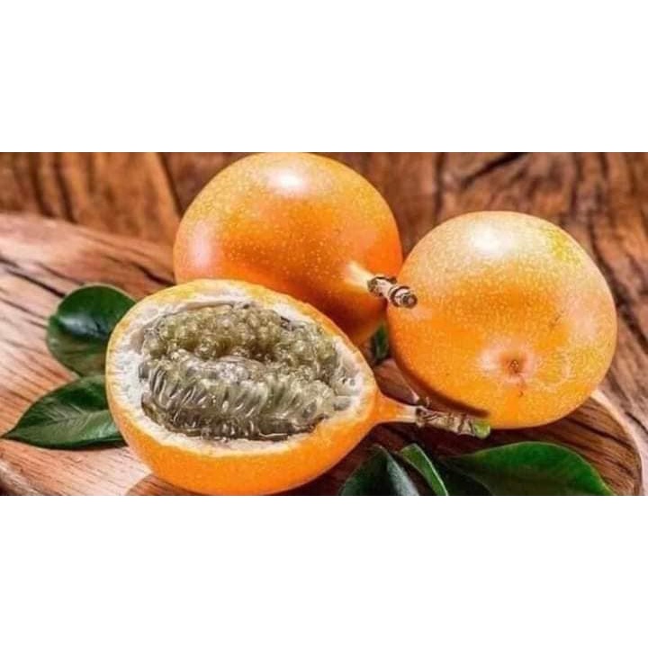 CÂY GIỐNG CHANH LEO NGỌT COLOMBIA