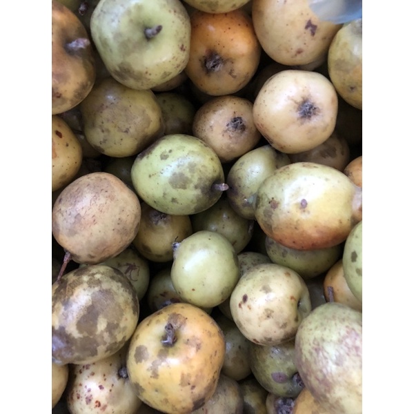 Táo mèo khô 80k/kg