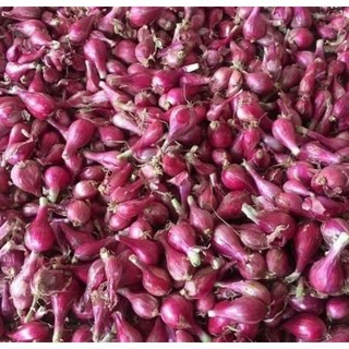 Hành tím lý sơn củ nhỏ thơm- cay - nồng