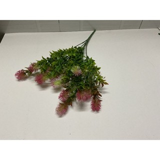 Cành điểm chôm chôm
