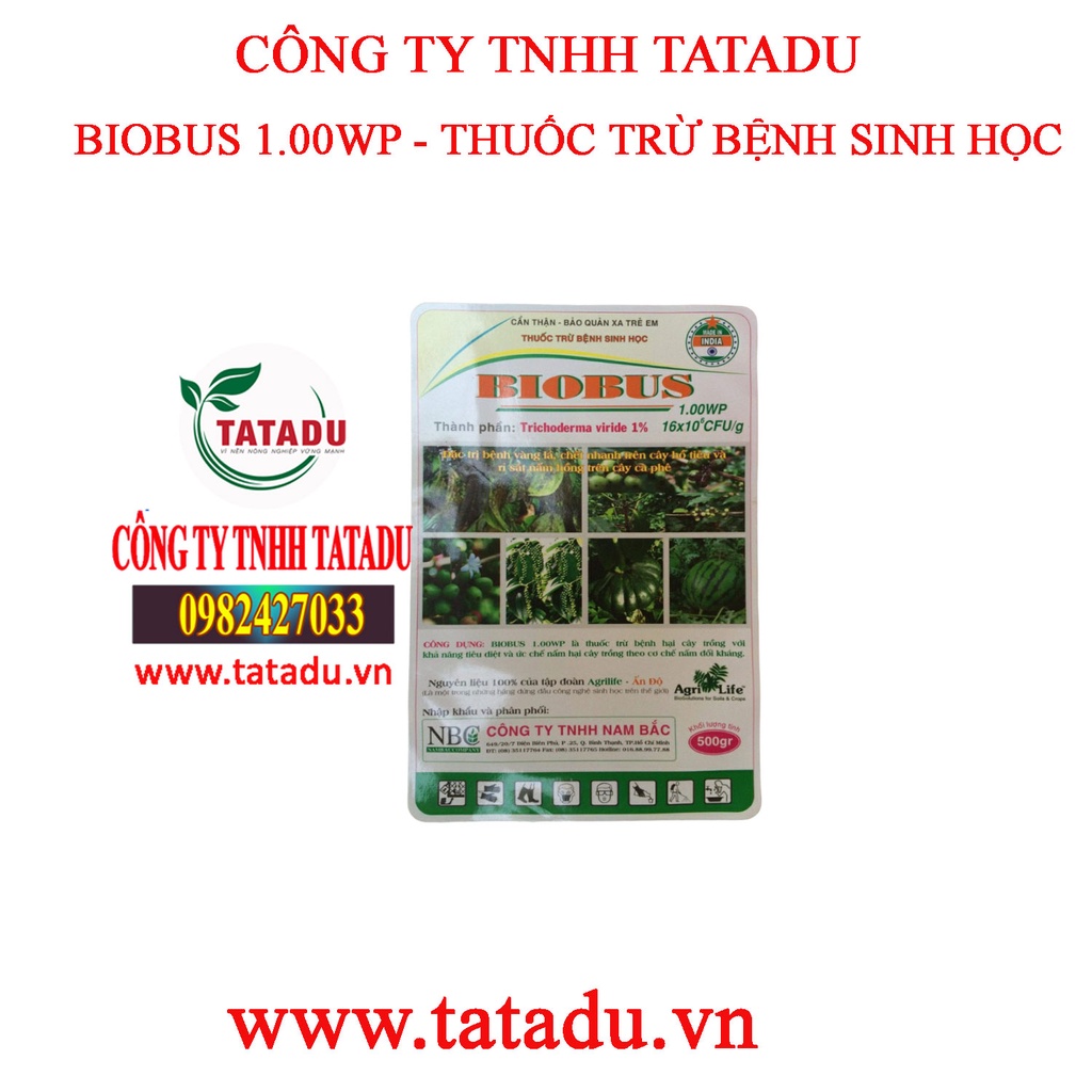 BIOBUS 1.00WP – TRỪ BỆNH ĐẶC TRỪ BỆNH VÀNG LÁ, CHẾT NHANH, RỈ SẮT, NẤM HỒNG GÓI 500GR
