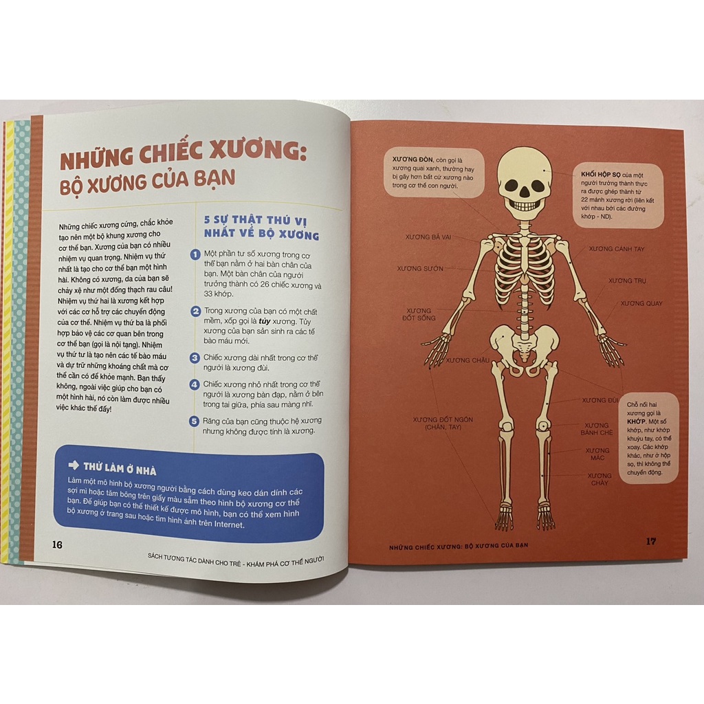 Sách - Khám phá cơ thể người, sách tương tác dành cho trẻ 3+