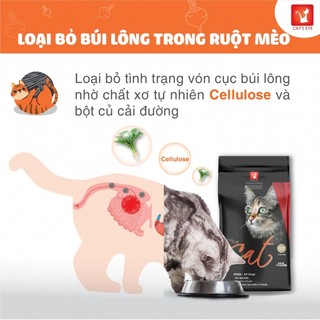 [3KG CATSRANG] Thức ăn hạt Cho Mèo Mọi Lứa Tuổi Catsrang/Cateye 3KG