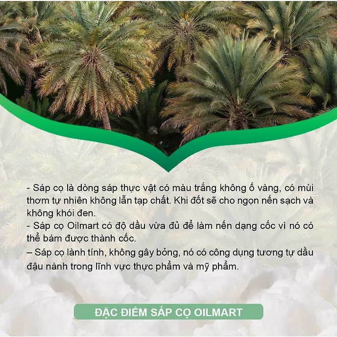 Sáp Cọ Mềm Oilmart Natural Palm Wax, Làm Nến Thơm, Mỹ phẩm Handmade