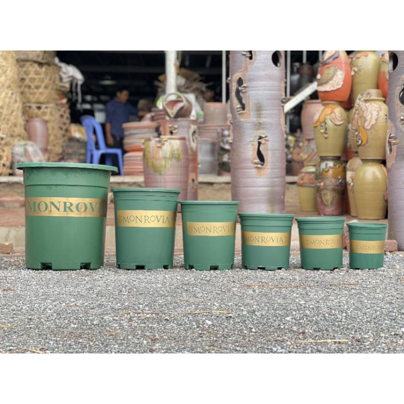 Chậu Mon 1.5gal (20x20cm)_Chậu nhựa trồng hoa Monrovia VN loại đẹp