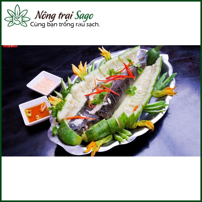 Hạt giống Bầu Sao Lai Trái Dài Trồng Quanh Năm, Sinh Trưởng Khỏe, Ít Sâu Bệnh - Nông Trại Sago