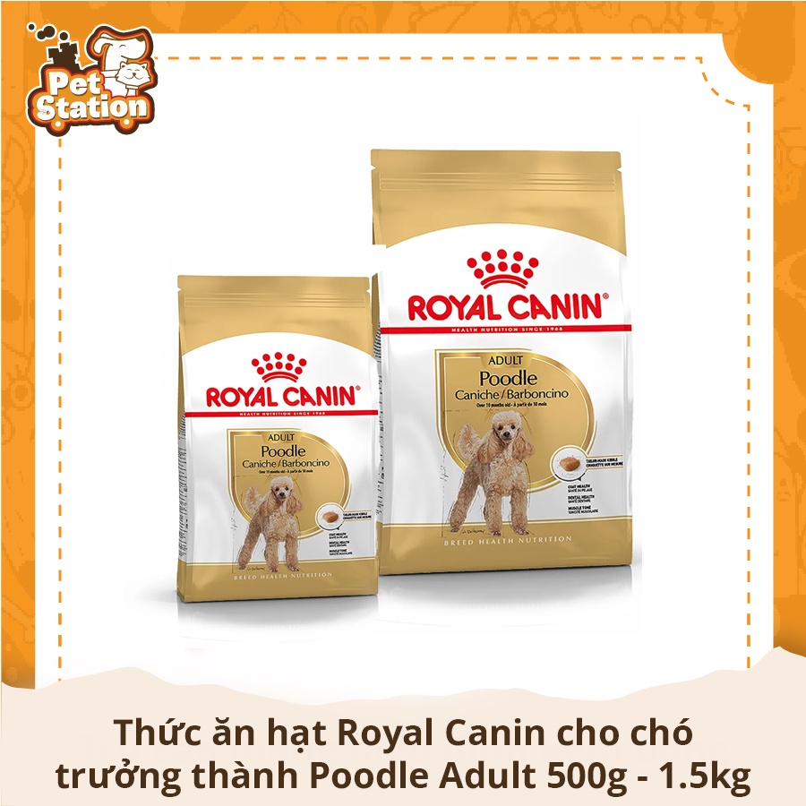 Thức ăn hạt Royal Canin cho chó trưởng thành Poodle Adult 500g - 1.5kg