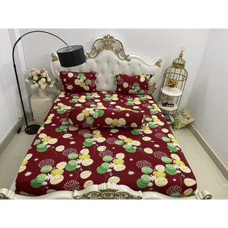 Bộ ga mền thun hàn quốc 5 món( 1 drap+ 2 vỏ gối nằm+ 1 vỏ gối ôm+ 1 mền)
