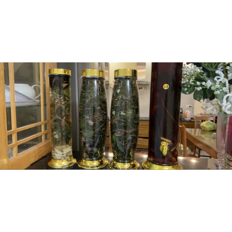 Lan kim tuyến  rừng tươi ngâm rươu