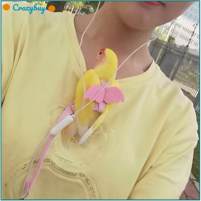 Cr Dây Dắt Vẹt Đi Dạo Siêu Nhẹ Có Tay Cầm Thoải Mái Tiện Dụng