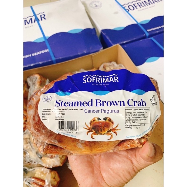 Cua Nâu Nauy bao gạch bao ăn 1 con 900gr đến 1,1kg siêu to