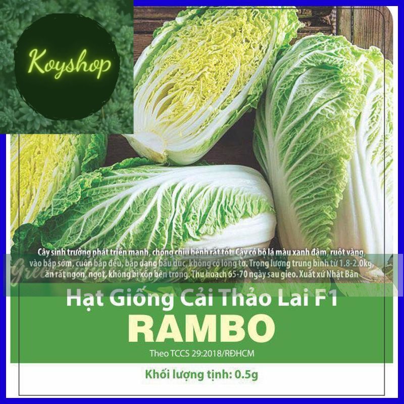 Hạt Giống Cải Thảo Lai F1 Xuất Xứ Nhật Rado Seeds. - Giá sỉ tốt hơn!