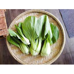 20g Hạt giống cải thìa xanh  - tỷ lệ nảy mầm 95%