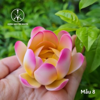 Đế cắm nhang Tân Nguyên, đế cắm nhang hình hoa sen, đế cắm nhang không tăm bằng gốm sứ