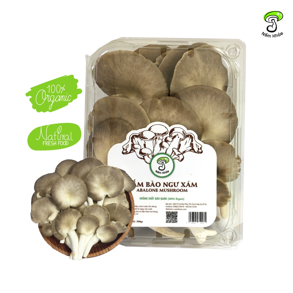 SỈ LẺ - Nấm bào ngư xám - Nấm tươi của Nấm Khỏe - Giá tốt