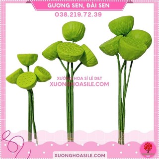 GƯƠNG SEN, ĐÀI SEN
