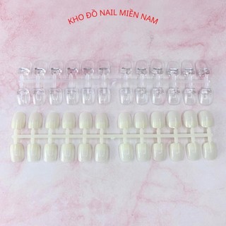 Vỉ móng mẫu phom vuông tập vẽ tập sơn cho thợ nail