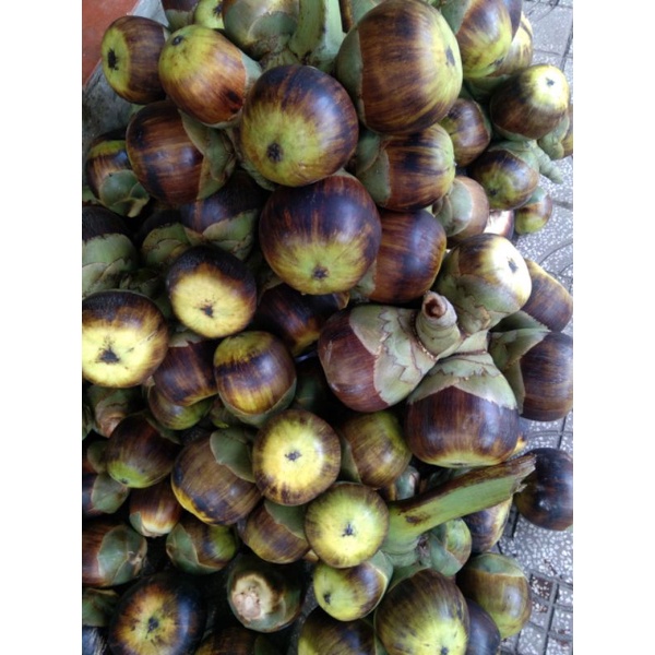 Thốt Nốt Tươi- An Giang