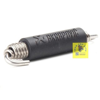 Lò xo pô Akrapovic