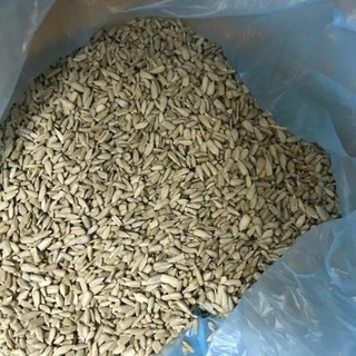 Hạt hướng dương tách vỏ (chưa rang) - 1KG
