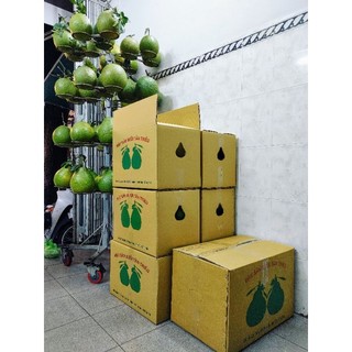 [Hỏa tốc HCM] Bưởi Tân Triều loại 1 (thùng 12 trái 14kg), Bưởi, Bưởi Đường Cam, Bưởi Ngon loại 1, Trái Cây