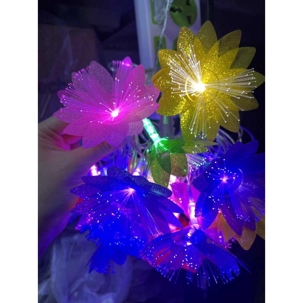 Dây LED HOA DẠ QUANG 5m